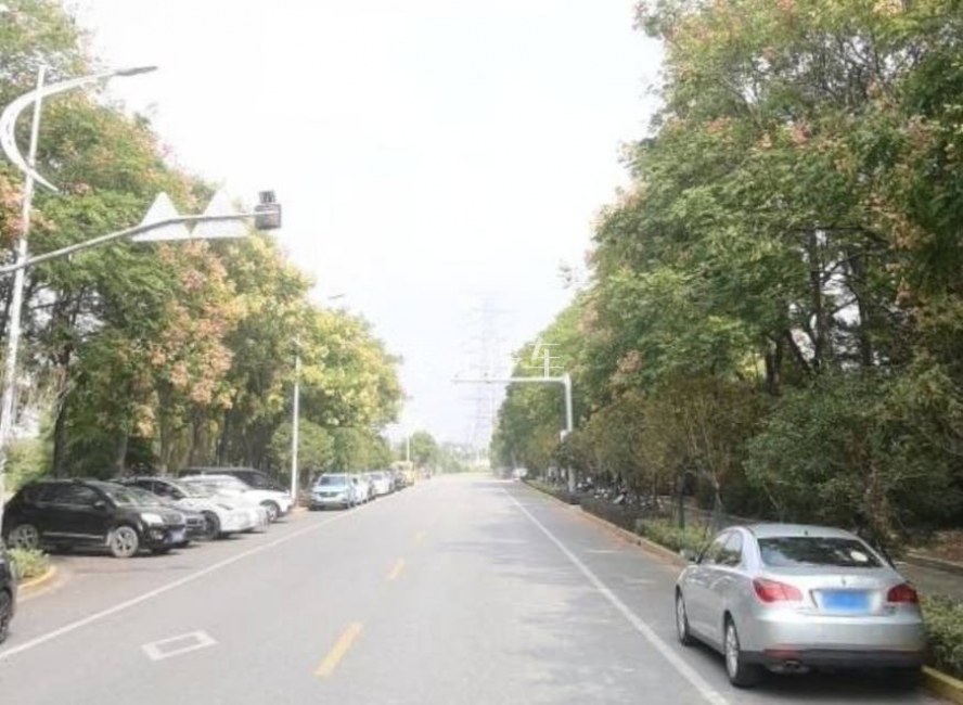 上海市嘉定区荣威******* - 地址已隐藏 免费停车位照片